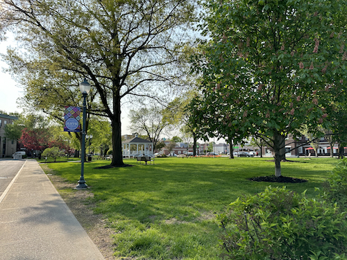 Green grass in City Park in Downtown Glens Falls